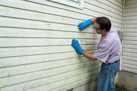 Best Vinyl Siding Installation  in Conyngham, PA